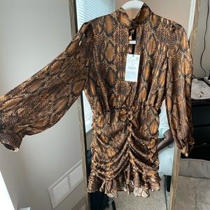 Zara Snake skin dress